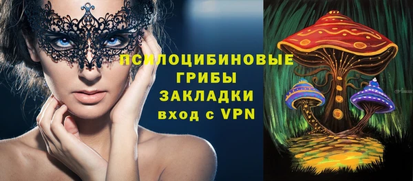 спиды Алексеевка