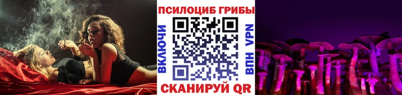 Галлюциногенные грибы Psilocybe  что такое наркотик  Покачи 